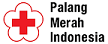 PMI Logo